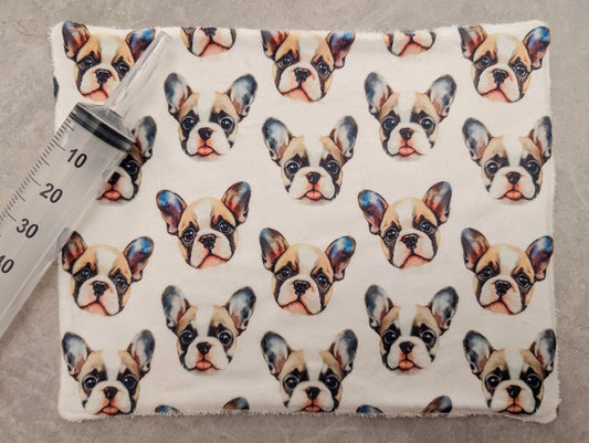 Frenchie Med mat