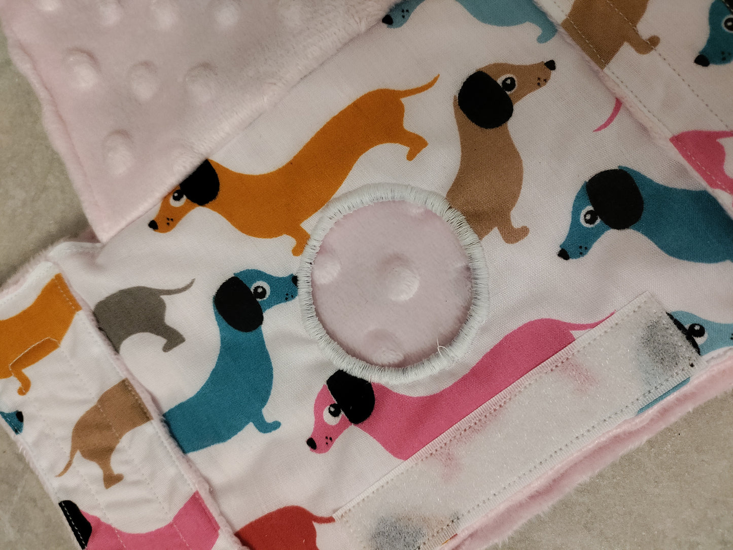 Coloured dachshund PEG tube belt