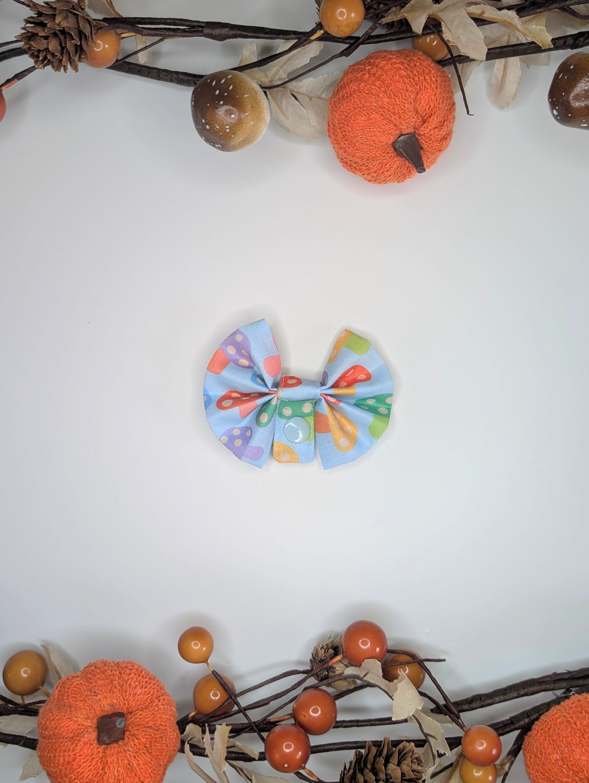 Coloured mushrooms Tubie Bow