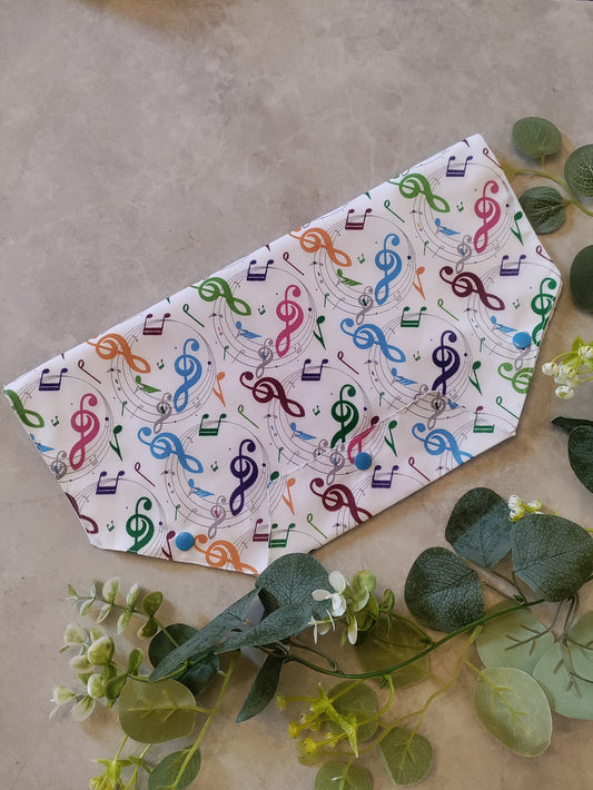 music catheter belly bag