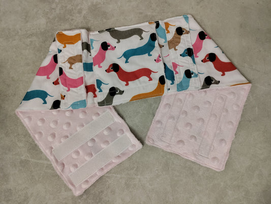 Coloured dachshund PEG tube belt