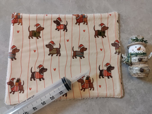 Christmas Daxie Med mat